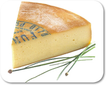 Fontina