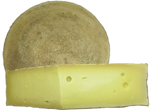 Formaggio d'alpe grasso