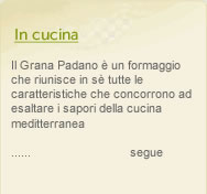 in cucina Grana Padano 