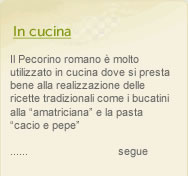 in cucina Pecorino romano 