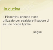 in cucina piacentinu