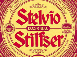 logo Stelvio