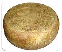 Pecorino siciliano