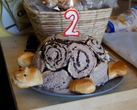 Torta di compleanno a forma di tartaruga